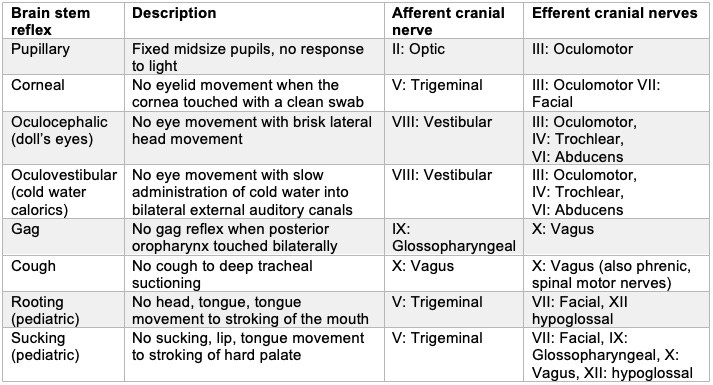 Confirmatory Tests for Brain Death