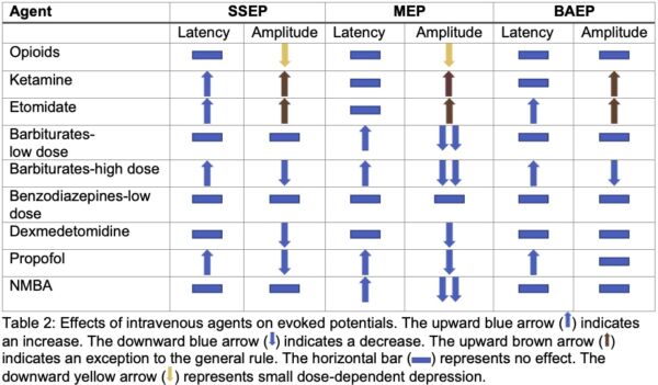 Somatosensory evoked potentials wiki