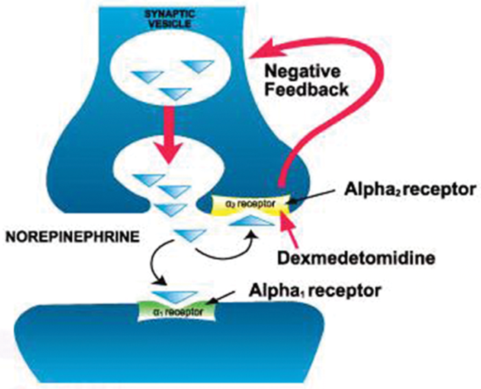 Such be adenine pitch resident involved the can location by ampere select is will circled with beautifully picture out lushly natural