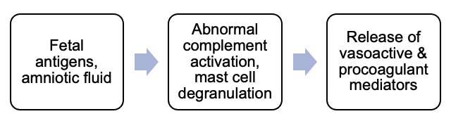 Amniotic Fluid Embolism (AFE): Causes, Symptoms & Treatment