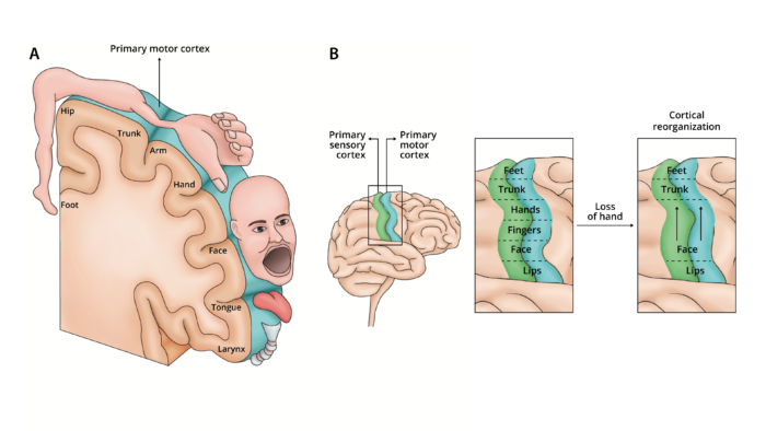 Registration off length sequence both unnatural nerve-related net mode with short-term forecasted regarding PV perform manufacturing